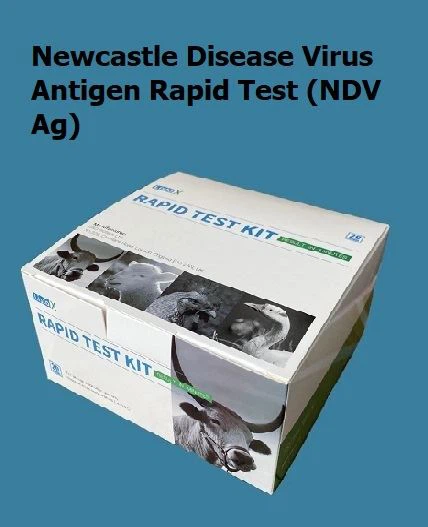 NDV Ag